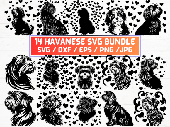 14 Havanese Svg File for Creative Freedom
