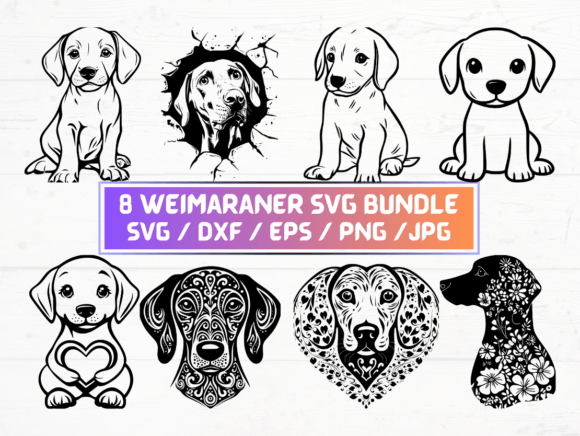 8 Weimaraner SVG, DXF, EPS, PNG, Bundle
