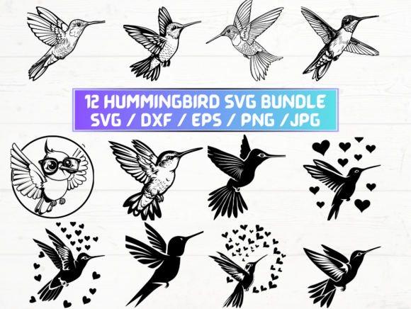 Hummingbird Svg Cricut Design Files